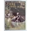 Behm, Hans Wolfgang: Tiere unter sich. Von den Lebensgewohnheiten der Tiere und ihren eige ...