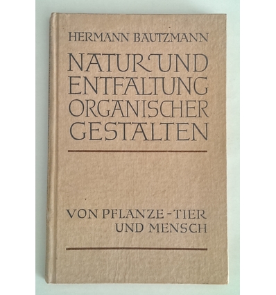 Bautzmann, Hermann: Natur und Entfaltung organischer Gestalten von Pflanze, Tier und Mensc ...