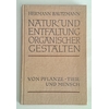 Bautzmann, Hermann: Natur und Entfaltung organischer Gestalten von Pflanze, Tier und Mensc ...