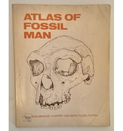 Brace, C. Loring  und Nelson, Harry  und Korn, Noel: Atlas of Fossil Man. ...