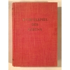 Schneider-Foerstl, Josephine: Würfelspiel des Lebens. Roman. ...